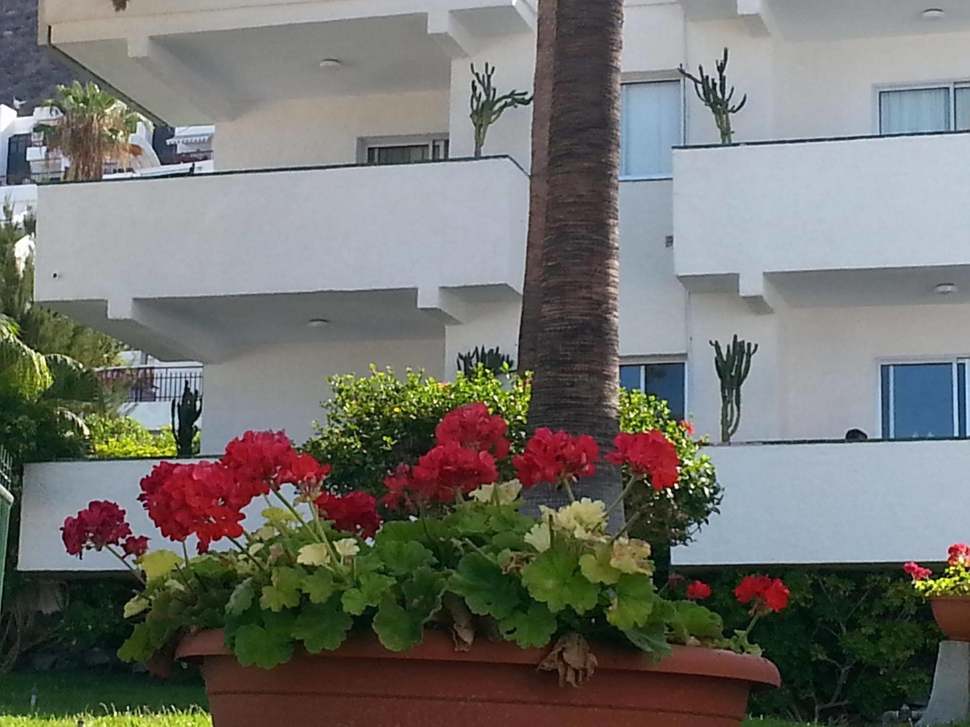 אקנטילדו דה לוס גיגנטס Apartamentos El Sombrero מראה חיצוני תמונה